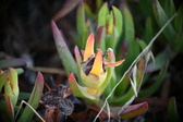 Enlarge photo 385