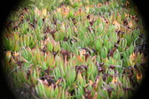 Enlarge photo 387