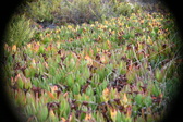 Enlarge photo 388