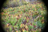 Enlarge photo 389