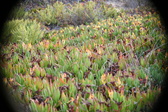 Enlarge photo 391