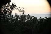 Enlarge photo 392