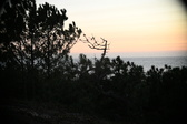Enlarge photo 393