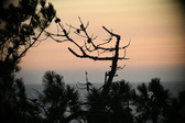 Enlarge photo 394