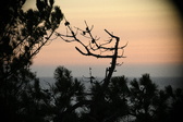Enlarge photo 396