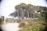 Enlarge photo 397