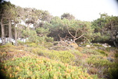 Enlarge photo 398