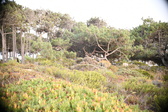 Enlarge photo 399
