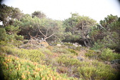 Enlarge photo 400
