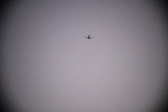 Enlarge photo 403