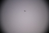 Enlarge photo 405