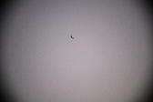 Enlarge photo 407