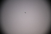 Enlarge photo 408