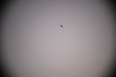 Enlarge photo 409