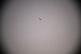 Enlarge photo 410