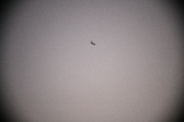 Enlarge photo 411