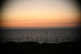 Enlarge photo 413