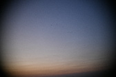 Enlarge photo 419