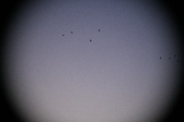 Enlarge photo 420