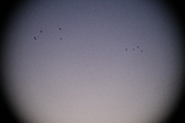 Enlarge photo 421
