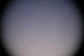 Enlarge photo 422