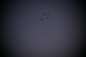 Enlarge photo 426