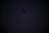 Enlarge photo 435