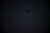 Enlarge photo 437
