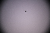 Enlarge photo 441