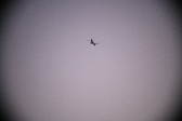 Enlarge photo 442