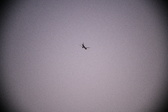 Enlarge photo 444