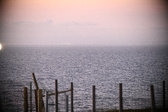 Enlarge photo 447