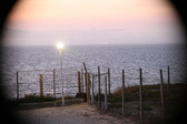 Enlarge photo 448