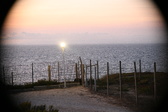Enlarge photo 449