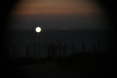 Enlarge photo 450