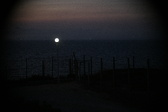 Enlarge photo 451
