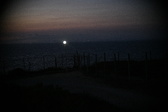 Enlarge photo 452