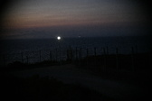Enlarge photo 453