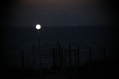 Enlarge photo 454
