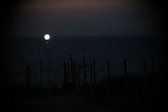 Enlarge photo 455