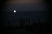 Enlarge photo 456