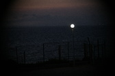 Enlarge photo 457