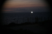 Enlarge photo 458