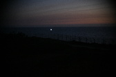 Enlarge photo 459