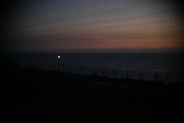 Enlarge photo 460