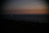 Enlarge photo 462