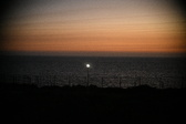 Enlarge photo 463