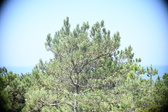 Enlarge photo 208