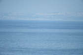 Enlarge photo 650