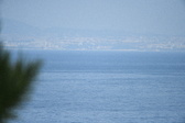 Enlarge photo 661